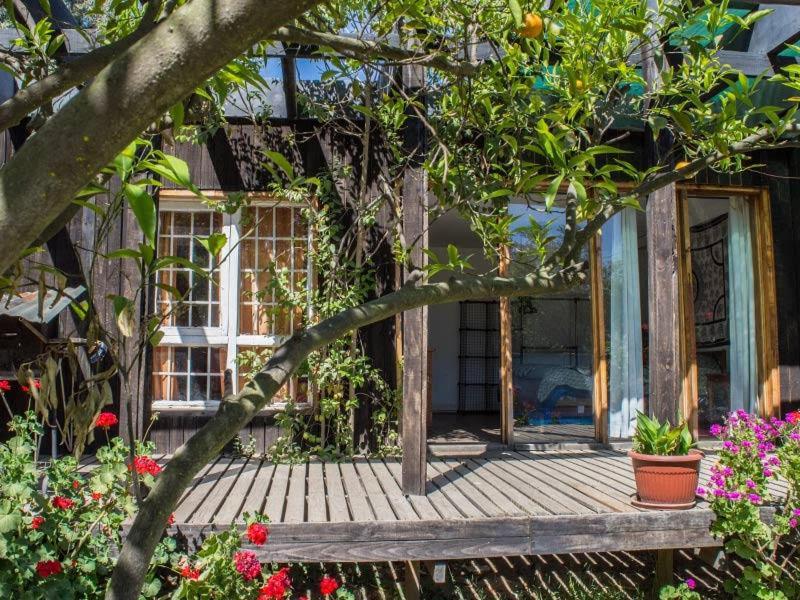 Casa Campo Lindo Olmué Eksteriør bilde