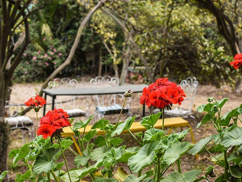 Casa Campo Lindo Olmué Eksteriør bilde
